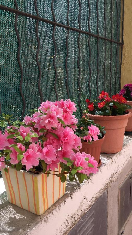 B&B Le Campanelle Λαντσιάνο Εξωτερικό φωτογραφία